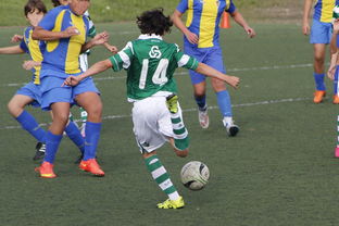 星空中国官网-上海申花再遭柔佛新山逆转，1-3失利痛失连胜机会